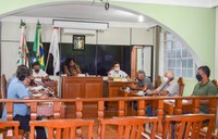 Em reunião extraordinária, Câmara vota Comissões Permanentes para 2021